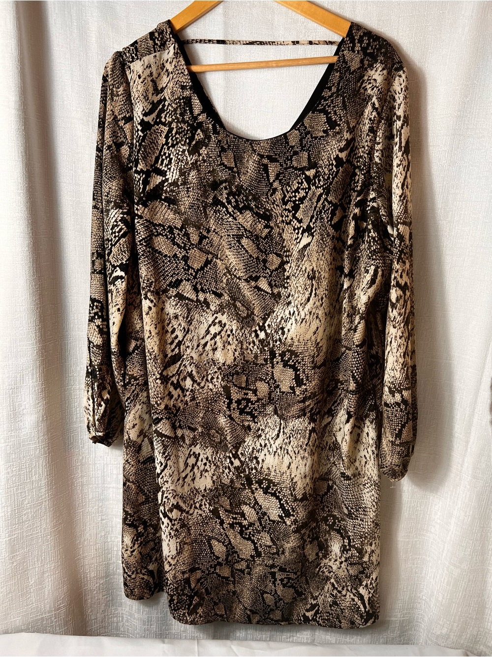 Dex Black and Tan Snake Print Top PLUS SIZE 1X